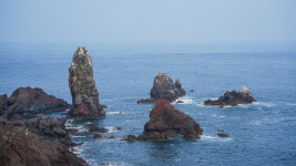10호 태풍 산산 지나가도 열대야 지속