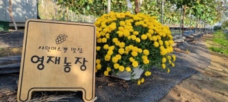 가족농가 영재농장 이선경 대표의 꿈