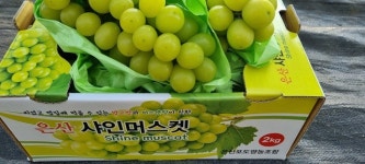 가족농가 영재농장 이선경 대표의 꿈