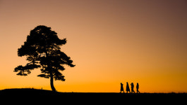 아듀! 2024, 새로운 출발