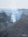 금산 진산휴양림 인근서 산불…49분 만에 진화