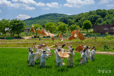 증평 장뜰두레농요, 충북도 무형 유산 신청 추진