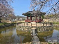 당진시 면천읍성, 품격 있는 문화 경관으로 새단장