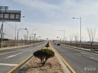 예산군, 내포 제2진입도로 명품가로숲 조성 완료