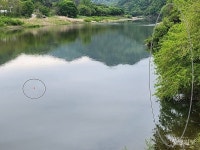 괴산군 청천면 거봉마을 하천 정비공사 불안하다