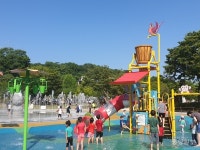 부여군,  6~9월 구드래 조각공원 분수시설 본격 가동