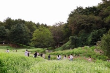 메밀밭 명소 청주 낭성 추정1리, 포토존 생긴다