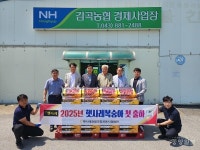 음성군 감곡농협햇사레 복숭아첫 출하