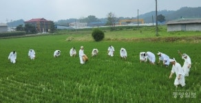 충주 신니 마수리 농요 재현행사 열려...풍년 기원과 국태민안 빌어