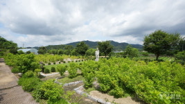 청주 마야사 마야정원 충북도 16호 민간정원 지정