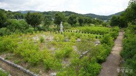 청주 마야사 마야정원 충북도 16호 민간정원 지정