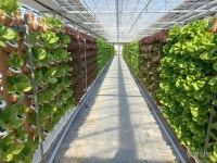 모험·열정이 가득한 희망제작소 당진 풀하우스 농장