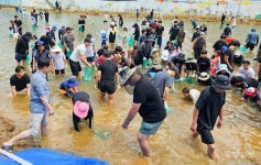 단양군, 2025 매화골 Hot Summer Festival 개최