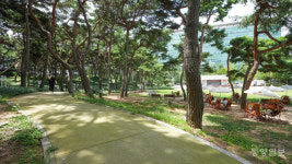 황톳길로 건강회복, 산책하기 좋은 청주 솔밭공원으로 오세요