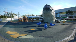 청주 생명누리공원 어린이 물놀이장 인분 소동... 긴급 폐장