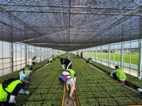 구룡농협, 수해복구 농촌 일손돕기