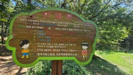 구룡 유아숲체험원에 화장실 조성된다