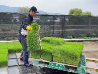 강소농/드론으로 벼농사 혁신…강소농 꿈꾸는 쌀팜농장 안승희 대표
