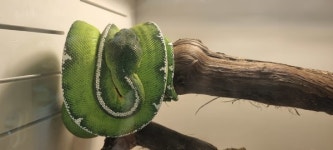 공간공감/ 밀수 동물의 마지막 피난처