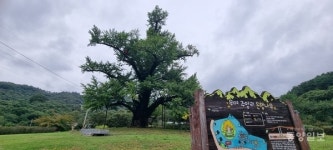 부여문화원, 가을빛 품은 부여의 문화유산 현장답사 진행