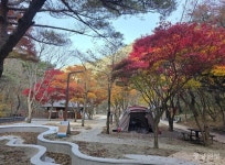 [포토뉴스] 단풍으로 물든 소백산 남천야영장