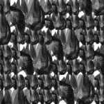 병마의 기록 X-레이, 사진예술로 승화하다