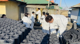 코닝정밀소재(주) 임직원, 아산시 취약계층에 연탄 1300장 전달