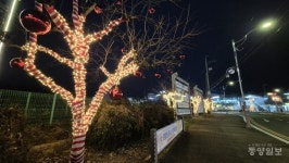 보령시, 내년 2월 말까지 시가지 야간 경관조명 운영