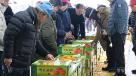 감고을 영동 명품 곶감, 본격 출하…내년 2월까지