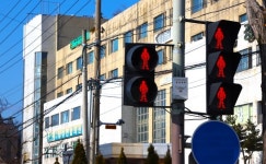 [단독]공주시 신관동 옛 버스터미널 부지 공매 충격… 사업 좌초위기