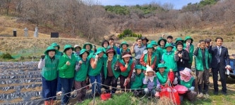 은산면 새마을협의회·부녀회, 사랑의 감자 심기 행사 개최
