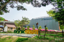 제천기적의도서관, 독서문화 프로그램 운영