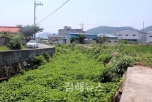 시냇가에 흐드러졌던 들국화들은 다 어디로
