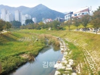 율하천 보라석 안쓴다 약속 뒤집고 재추진