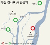 강서구 고병원성 AI 발생에 김해 사육농가 초비상