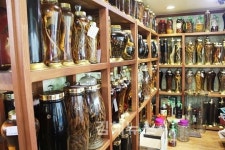 산약초 담금주를 사랑한 바닷장어구이