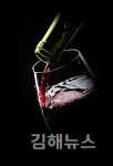 Wine 얼마나 아세요 제대로 즐기고 있나요
