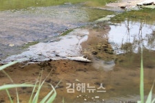 물고기랑 함께 놀던 해반천을 돌려주세요
