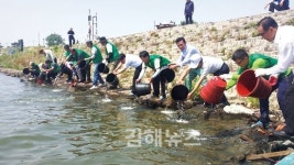 치어 방류사업, 시민 혈세만 줄줄