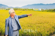 신규사업 앞서 김해복합스포츠 먼저 시행을