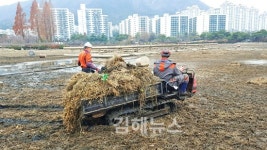 묵은 때 벗고 새 단장 연지호수… 시원한 물줄기 뿜을 음악분수 기대