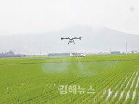 드론이 씨 뿌리고 농약 치고… 김해도 스마트팜시대