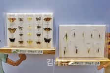 아빠 어릴 적 뒷동산 같은 어린이들의 호기심 천국
