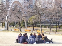 땅에는 보드라운 매화꽃잎 바람엔 기분 좋은 매화향기