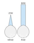노안수술, 주시안·부시안 최대 활용