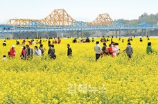꽃피는 봄… 축제로 가득한 경남의 4월 어디로 나들이 가볼까?