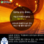도교육청·시, 장유터널 걷는 학생들 건강 지켜준다더니