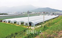 대동첨단 - 김해테크노밸리 산단, 순풍에 돛 단 듯 사업 진행 일사천리