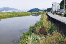 생필품 싣고 다닌 상선, 사람 나르던 줄배… 이젠 흔적뿐인 범동포 기억