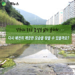 율하천에는 무슨 일이 있었던 걸까요?